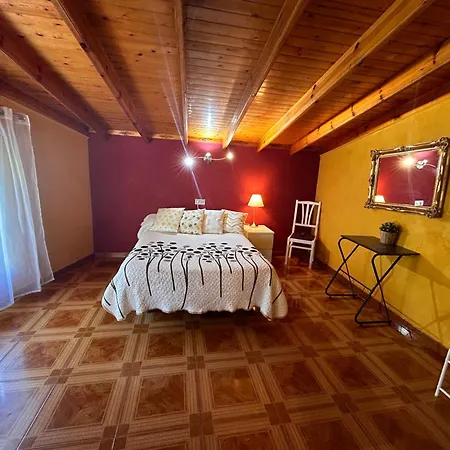 艾尔卡罗旅馆 3* 拉雷多