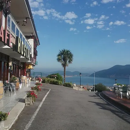 艾尔卡罗旅馆 拉雷多